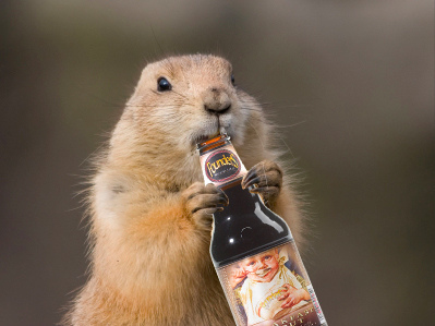 groundhog day america groundhog day and american craft groundhog day america groundhog day and american craft