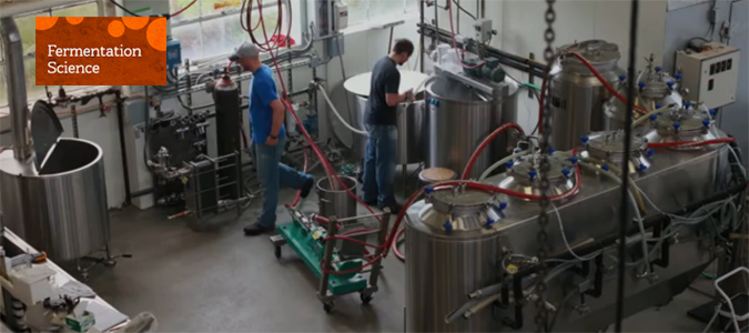 , A BS in Brewing? Finally &#8211; a Degree that&#8217;s Worth Something!