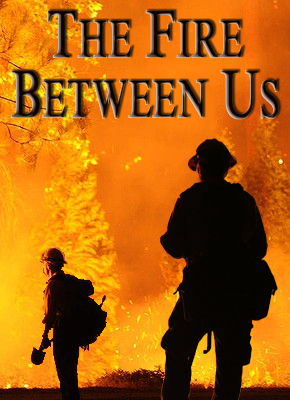 A best seller on The NY Times Best Sellers List two weeks in a row, Steel's hit