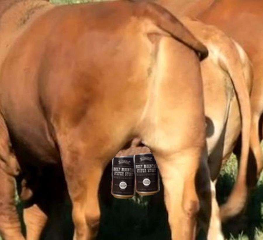 Would ya look at dat Ennis?! It's a bull dat breeds beer! Pa's gonna be so happy!