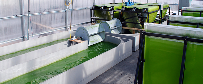 The technology at Iowa State University