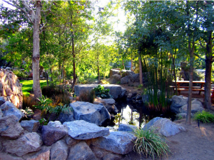 stone-brewery-san-diego-300x224