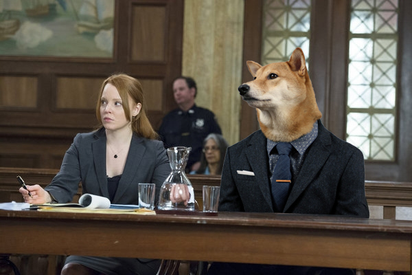 Coming this fall to Animal Planet, Law and Order SK9U.