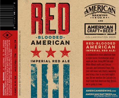 , THE AMERICAN CRAFT BEER &#8211; QUICK HITS