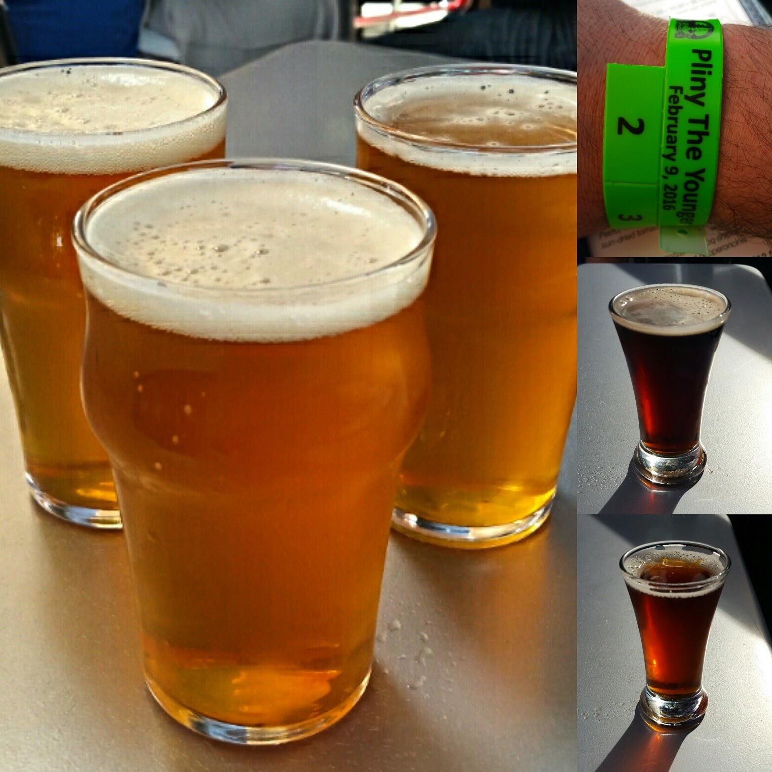 Pliny the Younger, My Allotment Wristband, Consecration, and Rejection