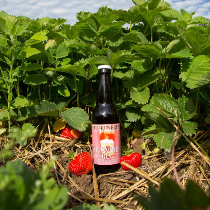 Shorts-Strawberry-Shorts-Cake