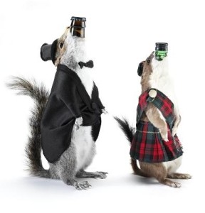 , New Belgium Releases Their Most Expensive Beer Ever!