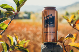 Upslope Pumpkin Ale