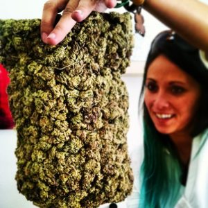 gabf-cannabis-beer-judging-300x300