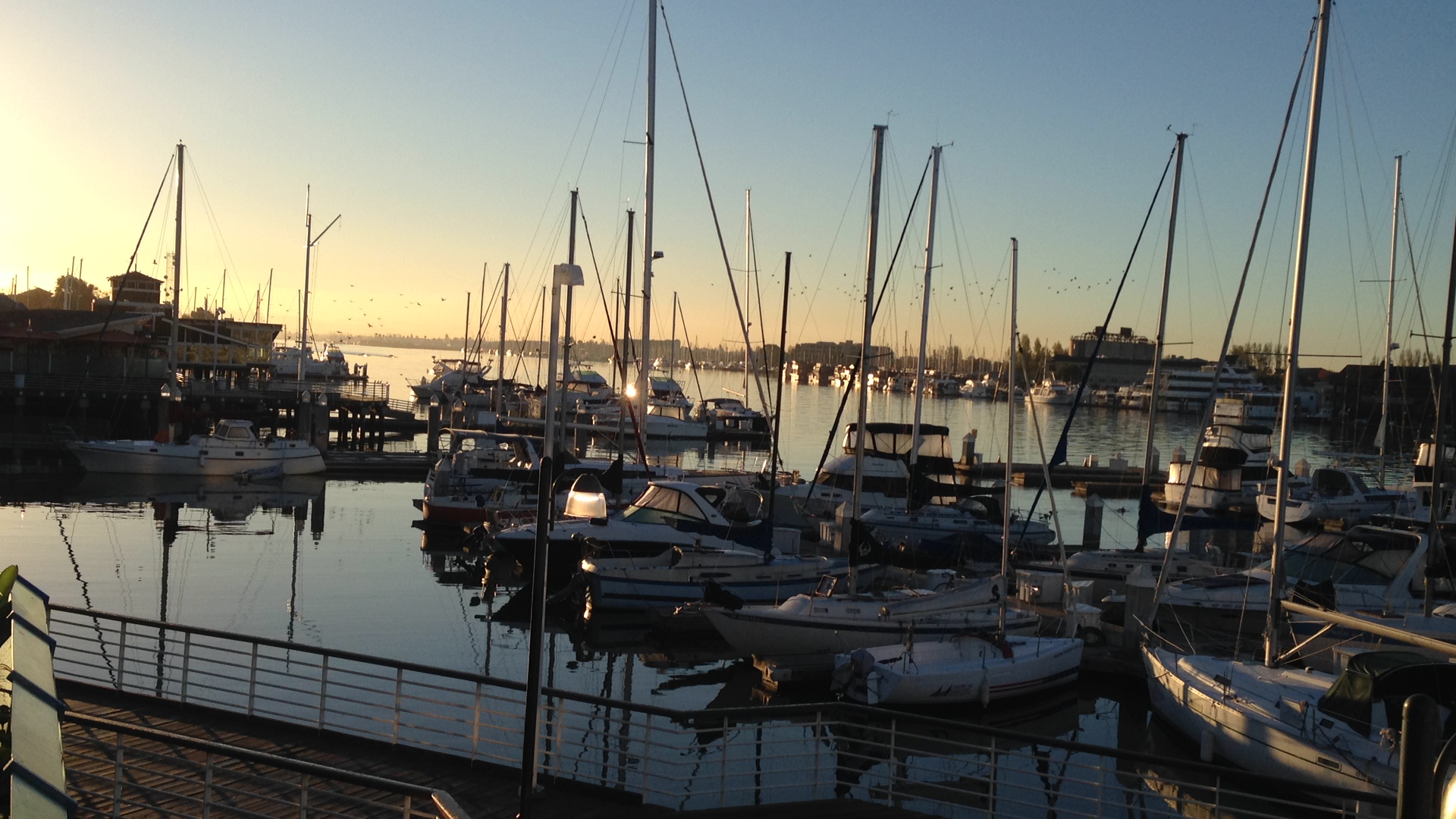 oakland-harbor