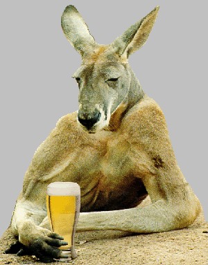 What Are The Top Craft Beers What Are The Top Craft Beers