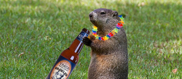 , Groundhog Day And Beer