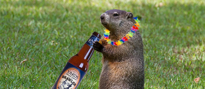 Groundhog, AMERICAN CRAFT BEER’S GROUNDHOG DAY WEEKEND PICKS