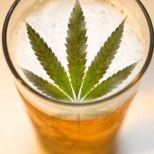 beer, The First Beer Brewed With Cannabis Crafted In Canada
