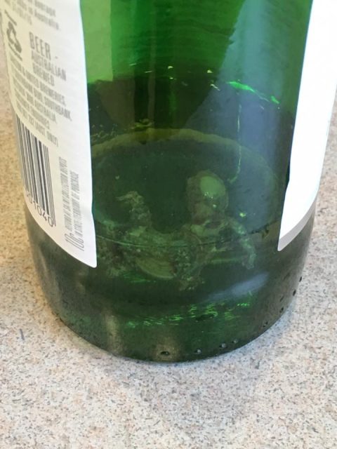 beer, New Zealand Woman Finds Dead Lizard In Beer