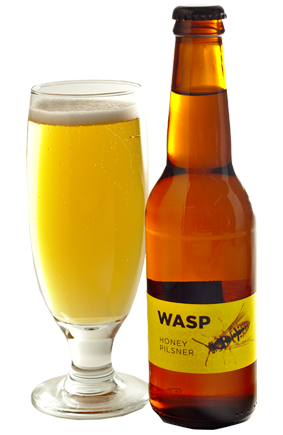 , Drowning Wasps In Beer For Science