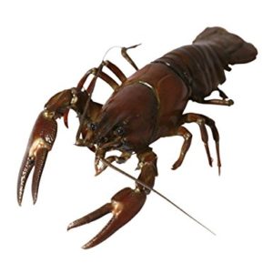brewery, Brewery Employs Crayfish Fitted With Bio-Sensors