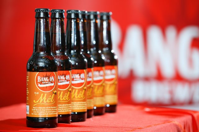 beer, New Antibacterial Beer All The Buzz In The UK