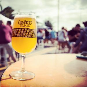 beer, South Florida’s Brewing Scene Goes Wild