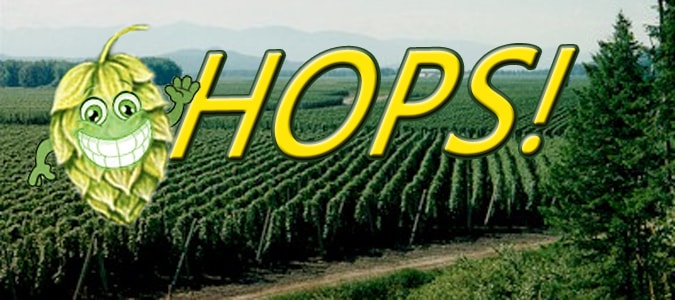 hop, The 2018 Hop Harvest Rundown