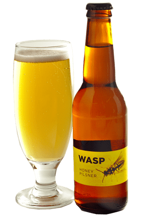 drunk, Drunk Angry Wasps Terrorizing UK Beer Gardens