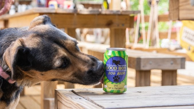 beer, Beer Buzz – Brewing Biz Goes To The Dogs, Anaheim Becoming A Craft Beer Disneyland And More!