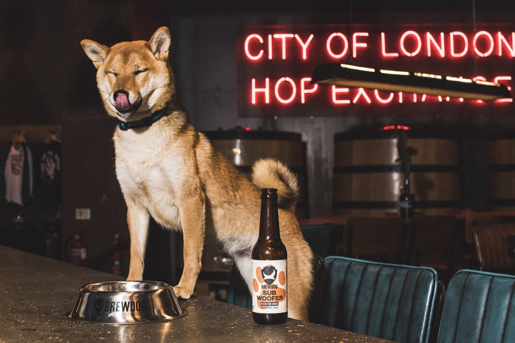 Gifts, BrewDog’s Holiday Gifts For Your Dog