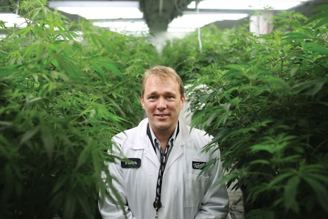 Constellation, Constellation Brands Closes $4 Billion Deal With Major Canadian Cannabis Producer