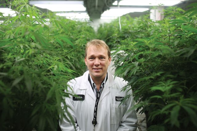, Constellation Brands Closes $4 Billion Deal With Major Canadian Cannabis Producer