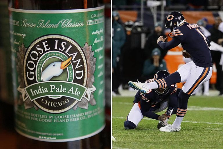Free Goose Island Beer If You Can Make The Kick That Bear S Cody