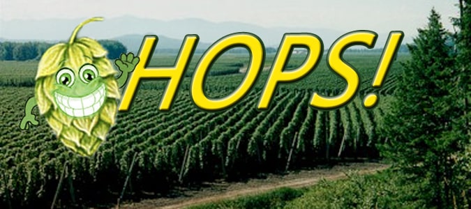 hops, A Newbies Guide To Hop Varieties