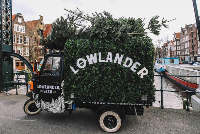 beer, Dutch Brewery Crafts Beer Using Old Christmas Trees