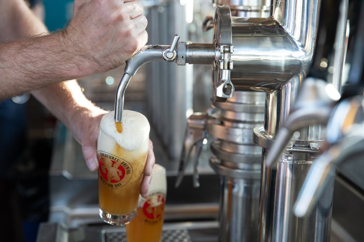 , Beer Buzz: Aussie Brewery Opens American Outpost, Drunk Seagulls Wreak Havoc In The UK