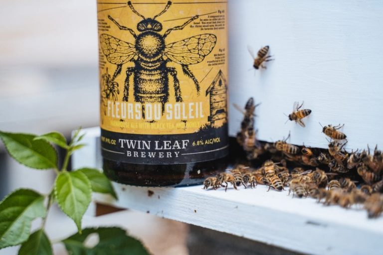 , Beer Alert – New Honey Saisons, Seasonals And Hazy IPA’s