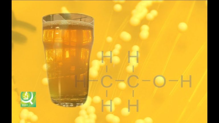 , Science Looks To Enhance Yeast For The Next Great Beer