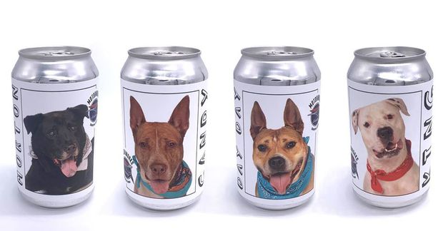 , Motorworks Brewery Puts Rescue Dogs On Beer Cans