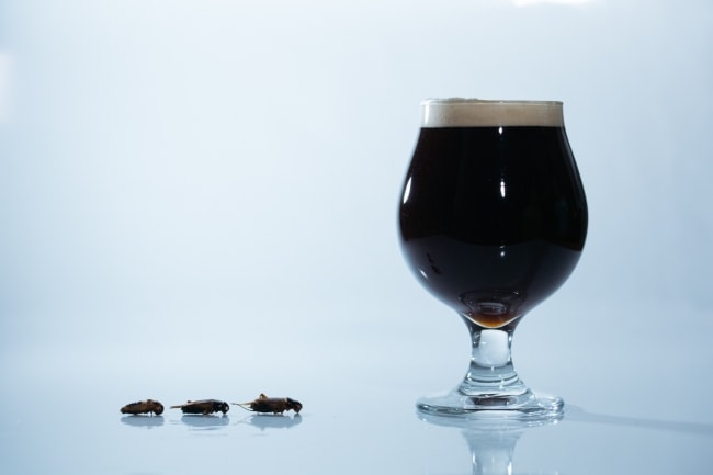 , Bad Ideas In Brewing – Beer Brewed With Crickets