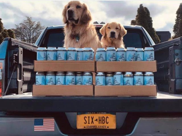 , Dogs Deliver Beer during Long Island Coronavirus Lockdown