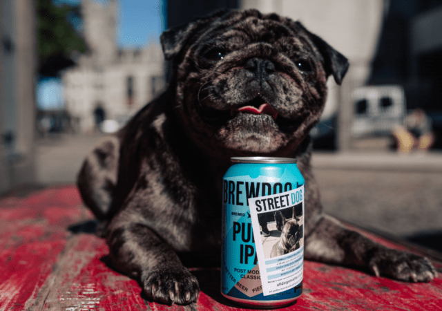 , BrewDog Partners With Ricky Gervais To Rescue Dogs