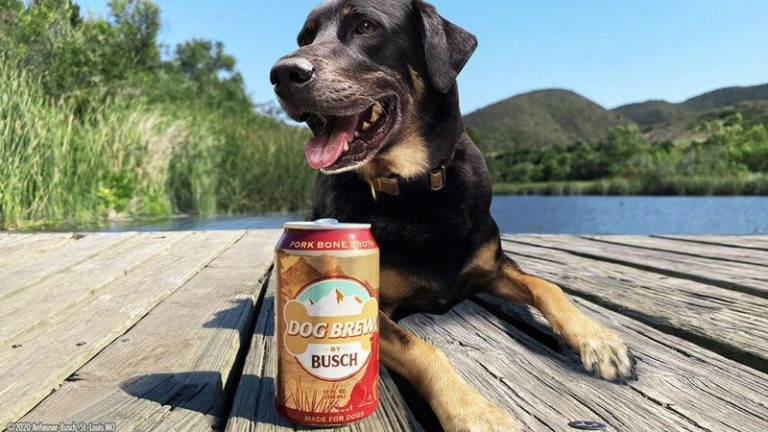 , Busch Jumps On the Dog Beer Bandwagon