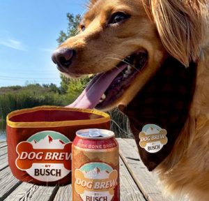 , Busch Jumps On the Dog Beer Bandwagon