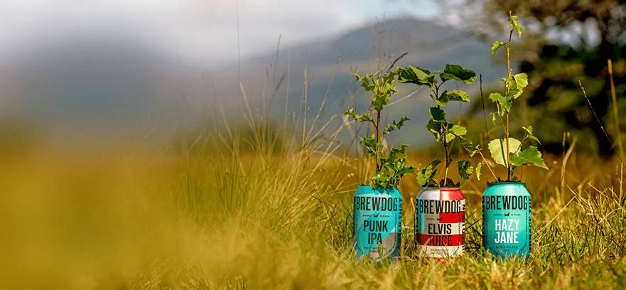 , BrewDog Pledges To Plant A Tree Every Time You Buy Its Beer