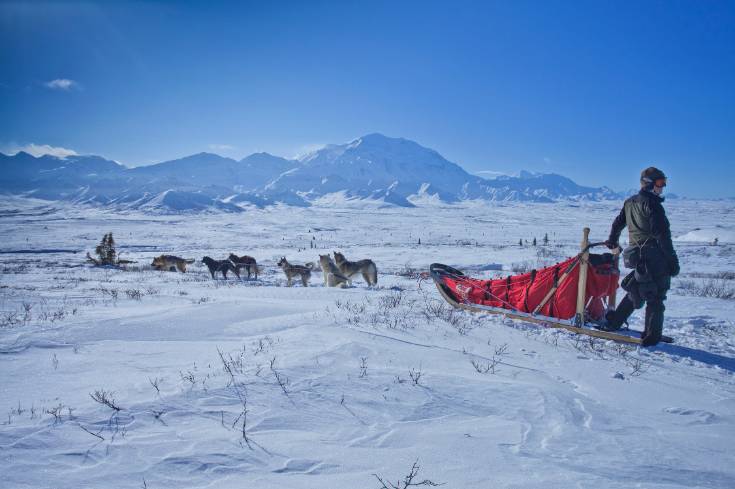 , Natural Light Beer Will Send Your Parents To Alaska So You Can Party