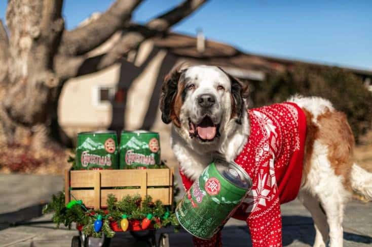 , St Bernard Dogs Deliver Breckenridge Christmas Ale In December