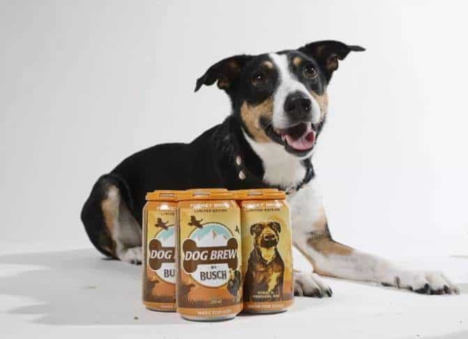 , New Busch Beer Goes To The Dogs
