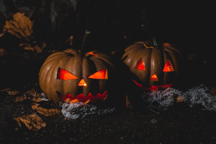 , American Craft Beer Presents: Best Halloween Beer And Horror Movie Pairings