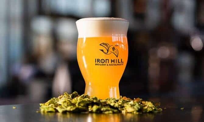 A glass of golden craft beer with foam, featuring the Iron Hill Brewery & Restaurant logo, sitting on a bed of green hops, highlighting fresh ingredients and local brewing