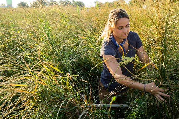 , Patagonia And 11 American Craft Breweries Make Beer Using Special Sustainable Grain