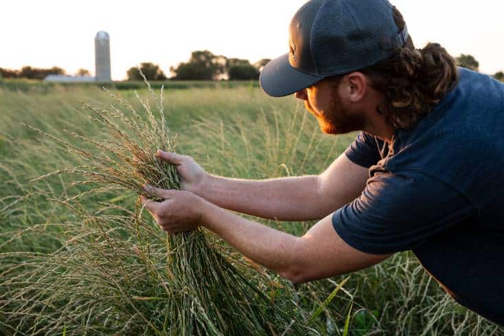 , Patagonia And 11 American Craft Breweries Make Beer Using Special Sustainable Grain