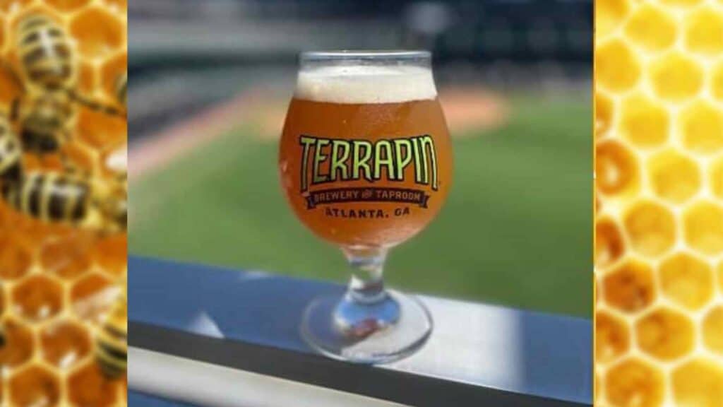 , New Terrapin Beer Made With Honey From MLB Ballpark Bees